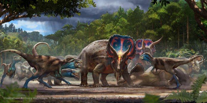 Dinos