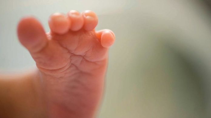 Bebe
