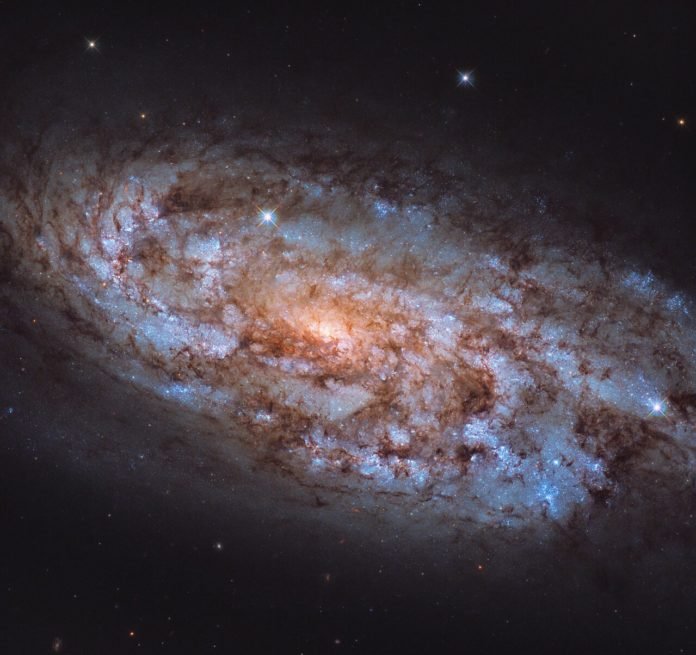 Galaxia