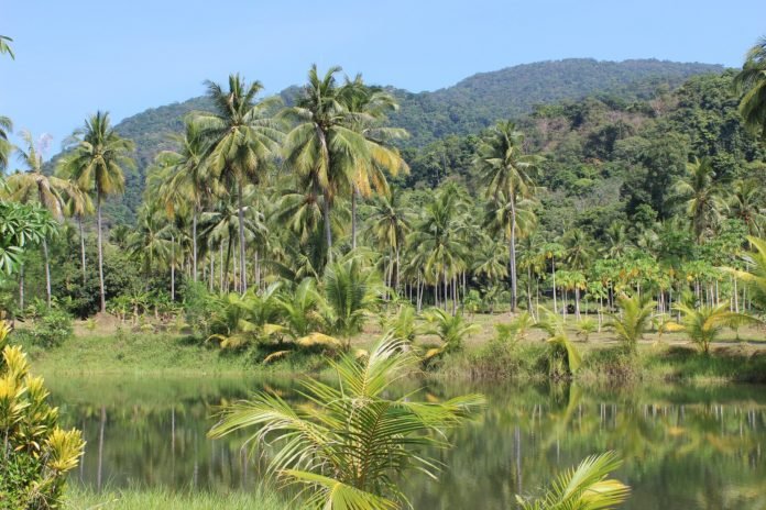 Amazonia