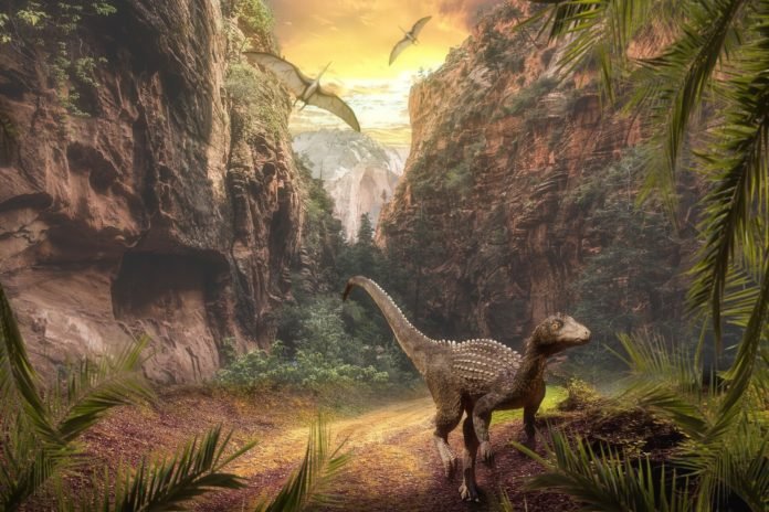 Dino