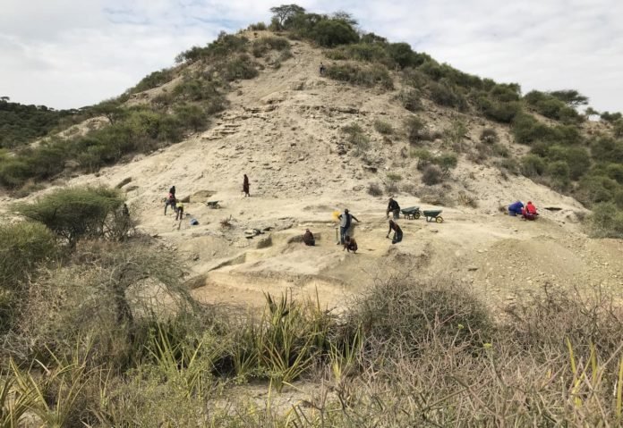 Garganta1