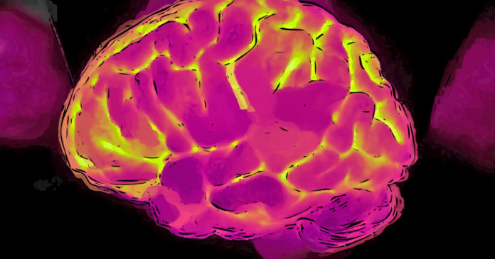 Proteína aponta células do cérebro com maior risco de Alzheimer.