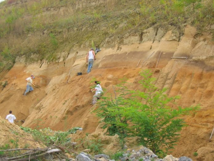 Loess