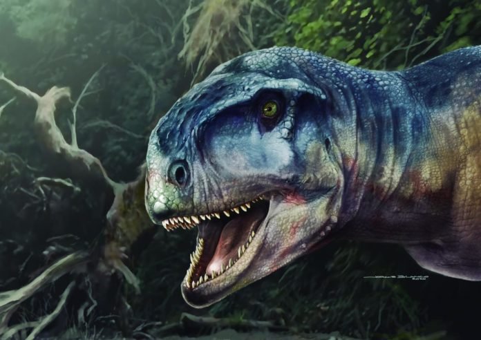 Dino1