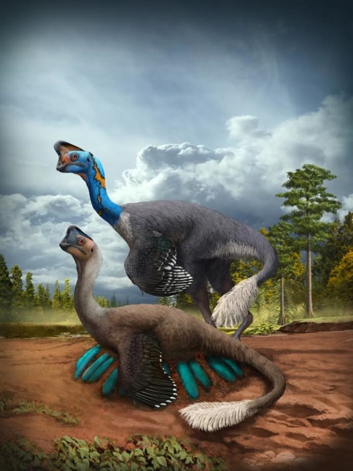Dino1