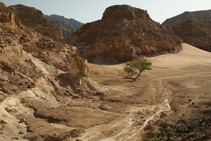 Sinai