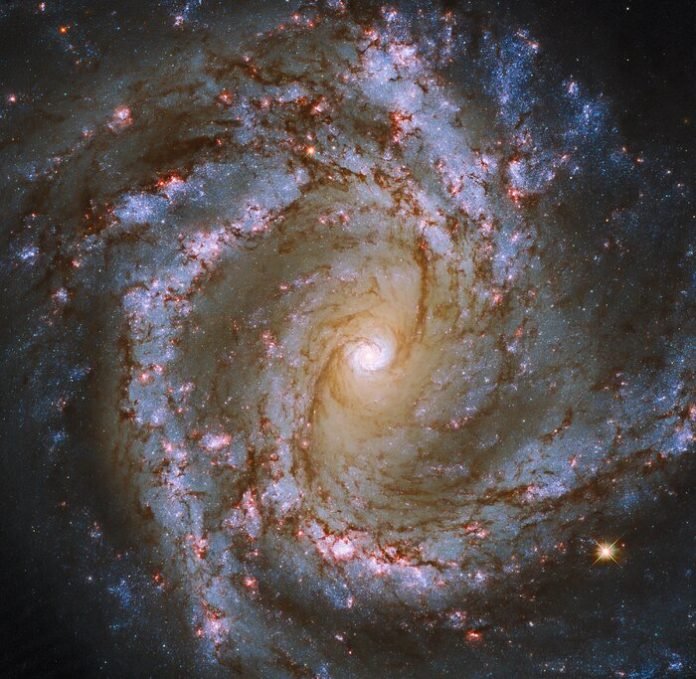 Galaxia