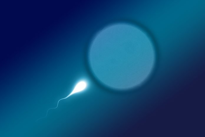 sperium-2505954_1280