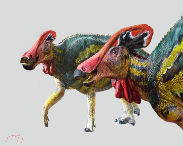 Dino