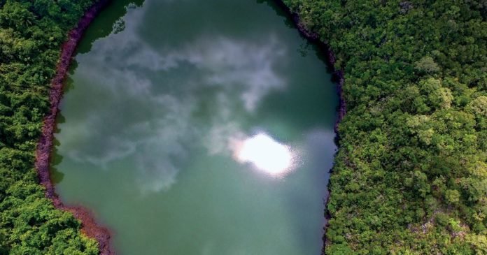 Amazonia