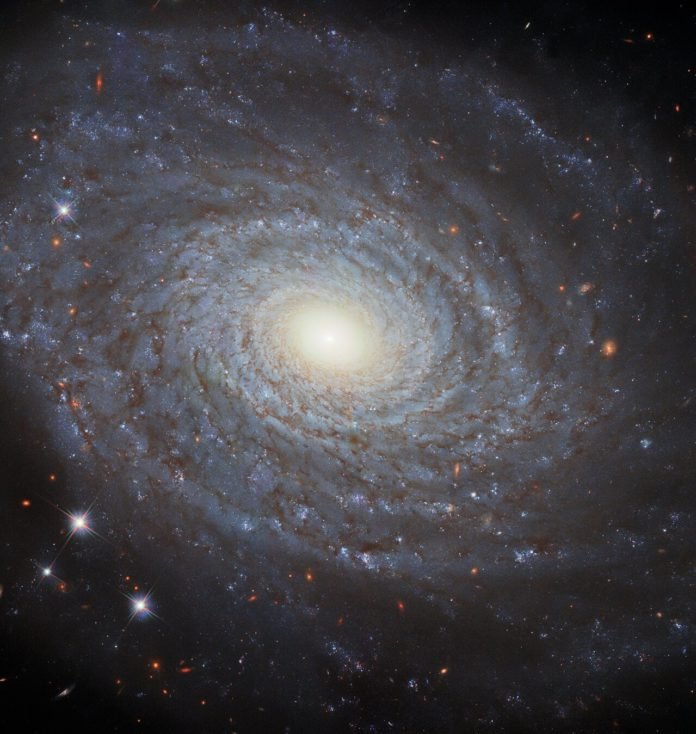 Galaxia