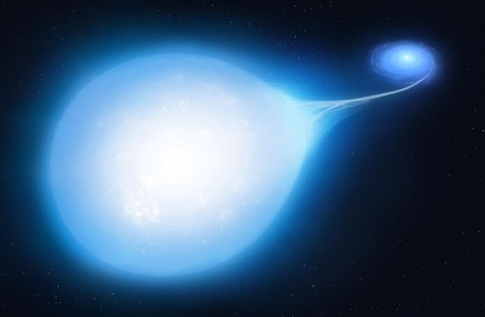 Estrela