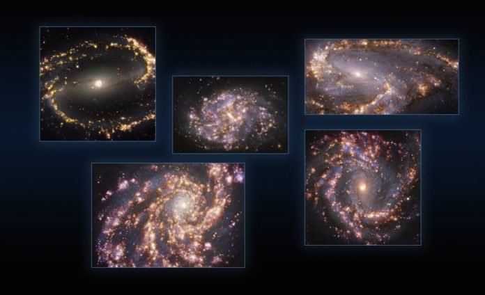 Galaxias