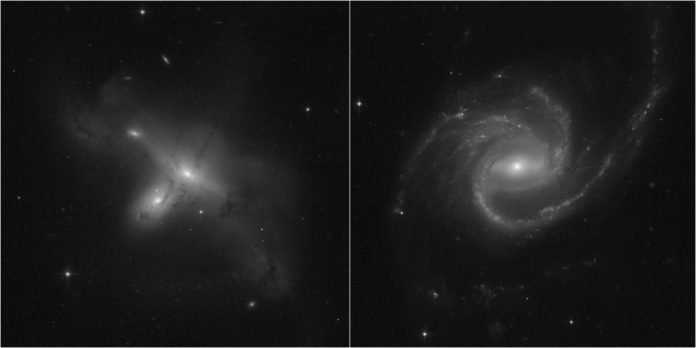 Galaxias