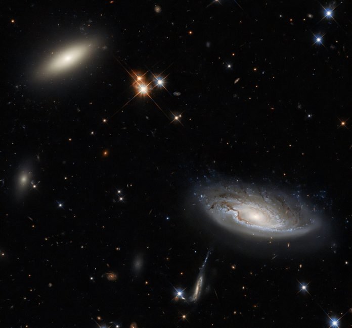 Galaxias
