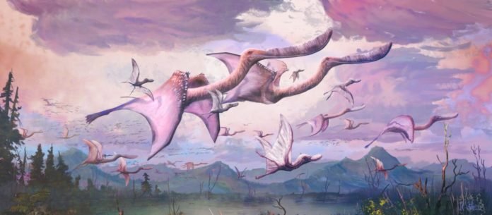 Pterossauro