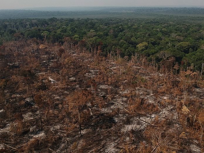 Amazonia