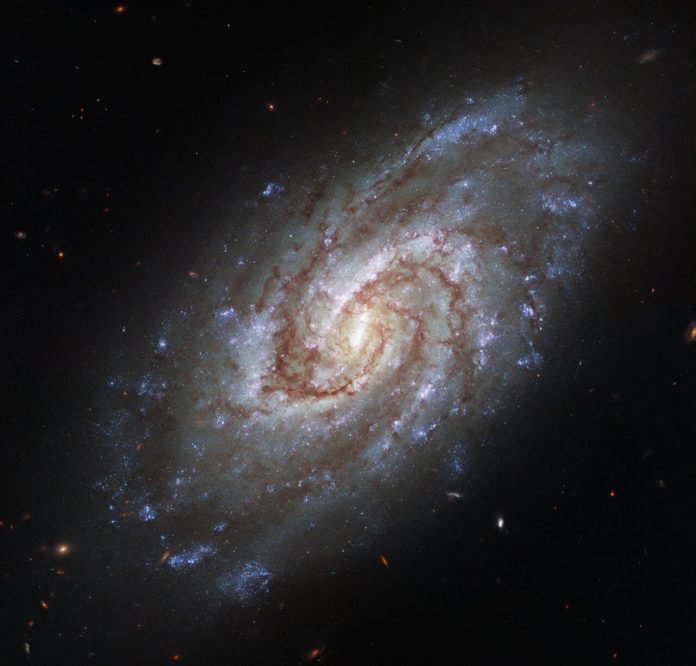 Galaxia