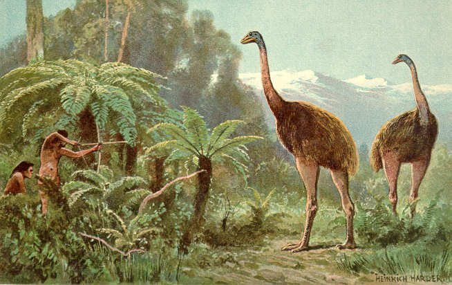 Moa2