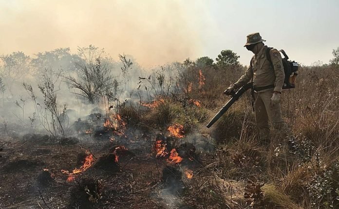 Pantanal