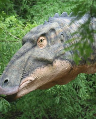 Fósseis da Patagônia mostram que dinossauros do jurássico tinham mentalidade de rebanho