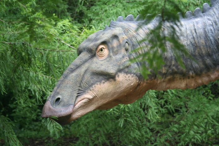 Fósseis da Patagônia mostram que dinossauros do jurássico tinham mentalidade de rebanho