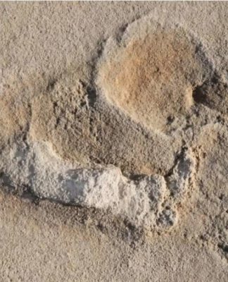 6 milhões de anos: Cientistas encontram as mais antigas pegadas conhecidas de hominídeos