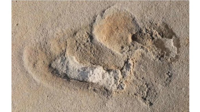 6 milhões de anos: Cientistas encontram as mais antigas pegadas conhecidas de hominídeos
