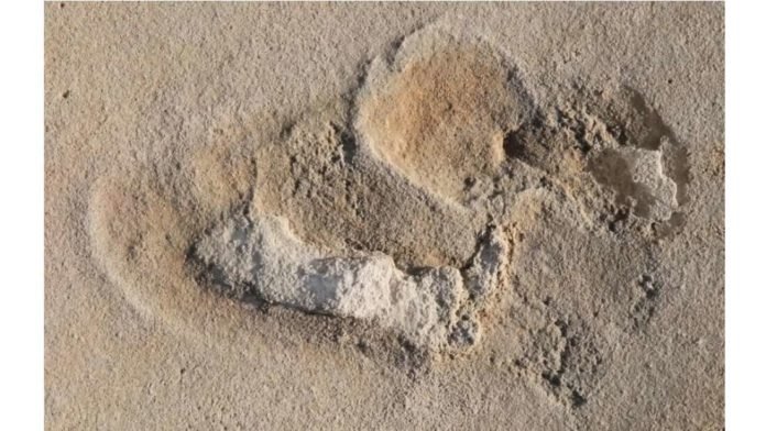 6 milhões de anos: Cientistas encontram as mais antigas pegadas conhecidas de hominídeos 6 milhões de anos: Cientistas encontram as mais antigas pegadas conhecidas de hominídeos
