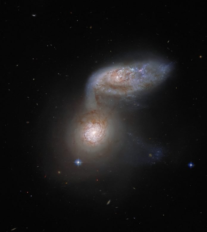 Galaxias
