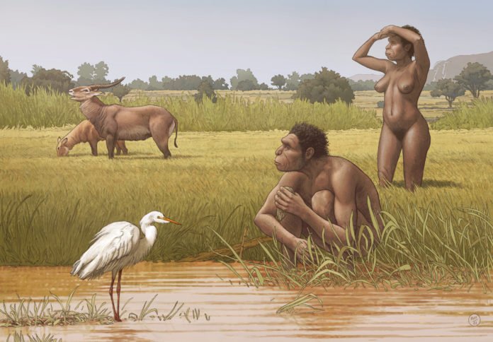 Homo1