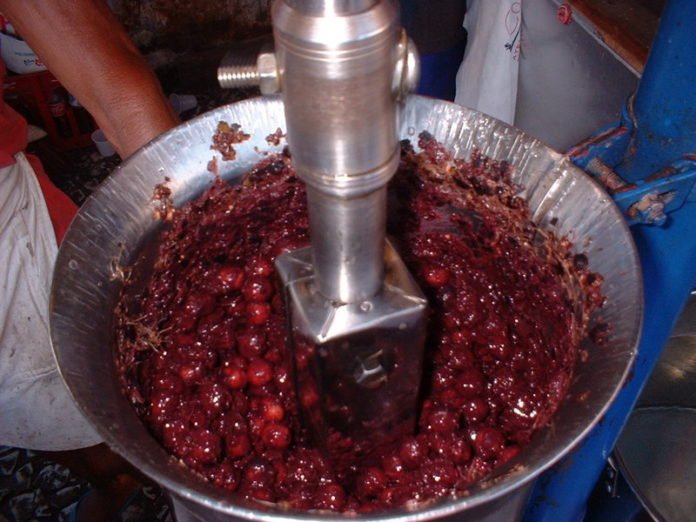 Açai