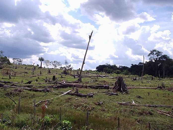 Amazonia