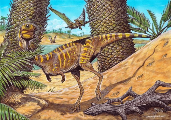Dino