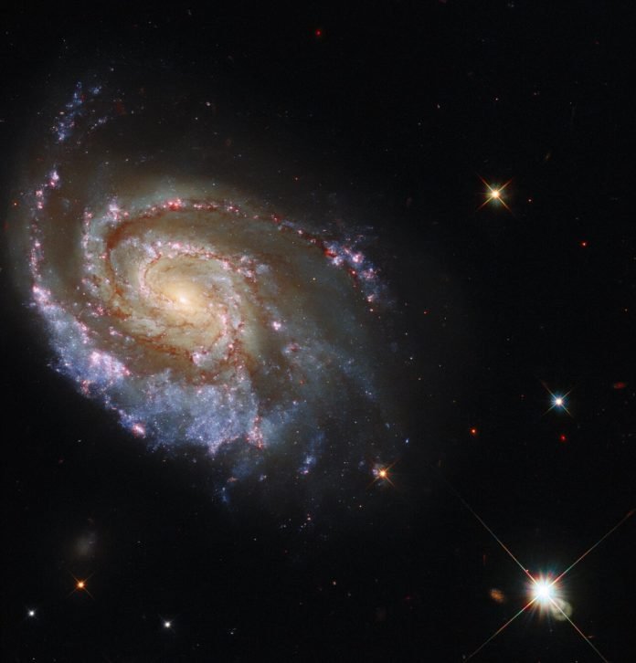 Galaxia