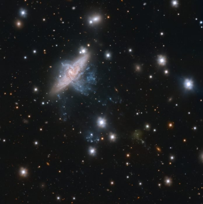 Galaxias