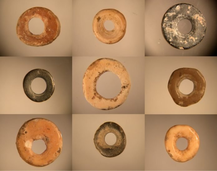 Avestruz1