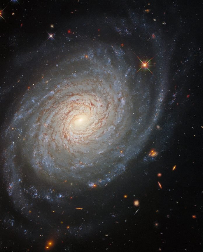 Galaxia