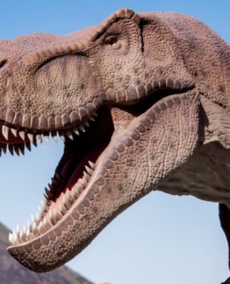 Brasil terá o maior parque de dinossauros do mundo