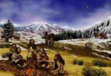 Os neandertais eram carnívoros que amavam carne, mas não apreciavam sangue