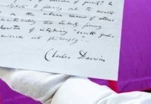 Manuscrito de Charles Darwin vai a leilão e pode render quase R$ 5 milhões